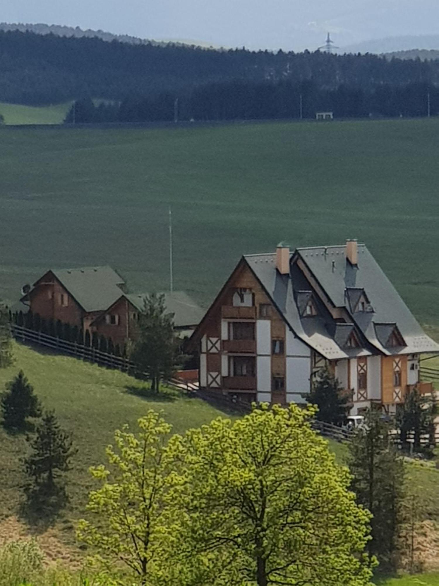 Villa Brvnare Bor à Zlatibor Extérieur photo