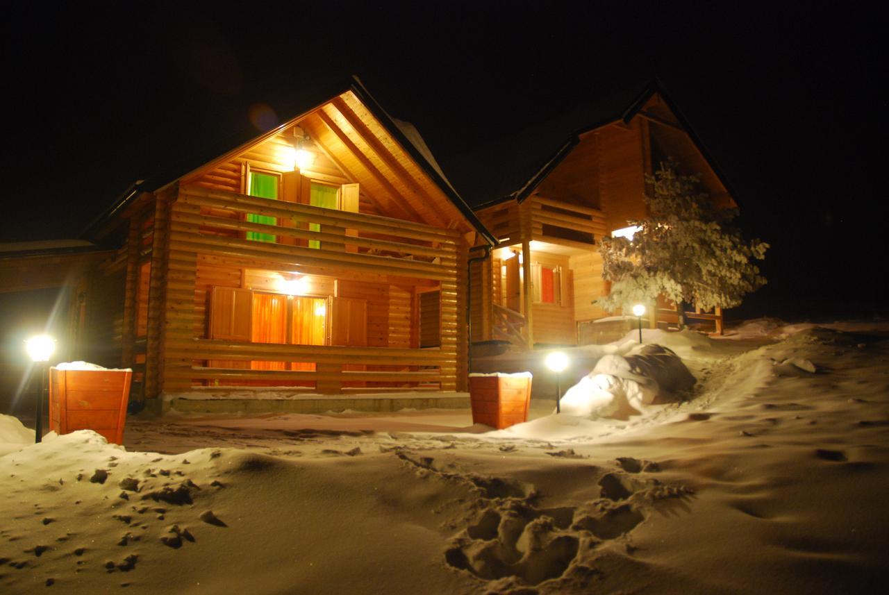 Villa Brvnare Bor à Zlatibor Extérieur photo