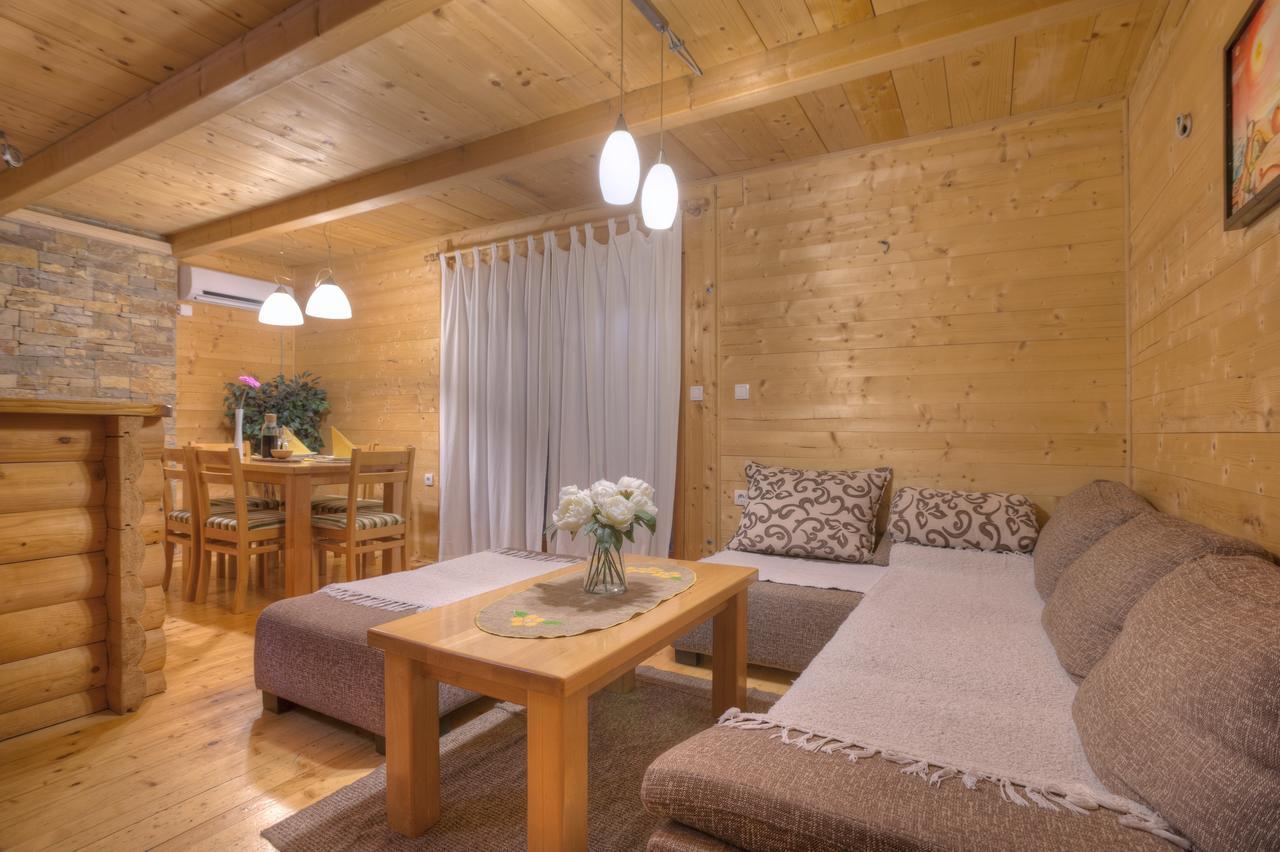 Villa Brvnare Bor à Zlatibor Extérieur photo